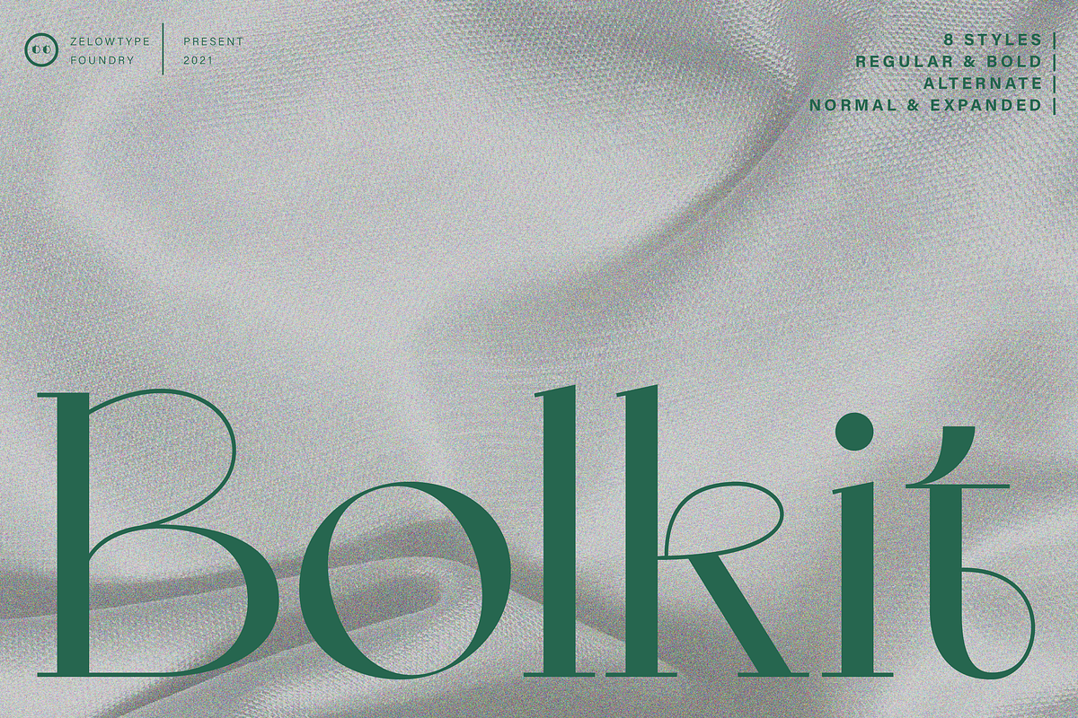 ZT Bolkit - Display Serif, a Serif Font by zelow type (Photo 1 of 15)
