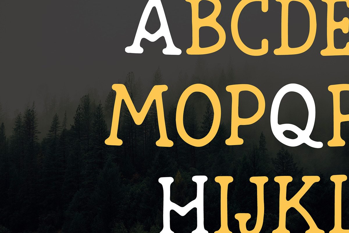 North Star | Vintage Slab Serif, a Slab Serif Font by Beveled Design Co. (Photo 6 of 10)