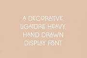 Catanzaro Ligature Display Font, a Sans Serif Font by Emma Webb Studio (Thumbnail 2 of 12)