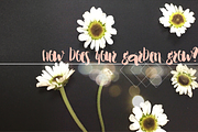 NANCY Brush Lettered Font, a Handwritten Font by Rhonna Designs (Thumbnail 2 of 3)