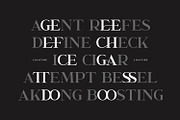 Garcedo Serif Font Triple Pro, a Serif Font by Maulana Creative (Thumbnail 5 of 10)