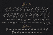 Rindu Alam - Signature Script Font, a Script Font by StringLabs (Thumbnail 6 of 6)