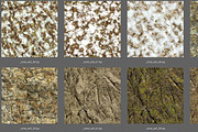 AUTUMN AND WINTER TEXTURE PACK, a Textures & Material 3D Model by Beatheart Creative Studio (Thumbnail 12 of 58)