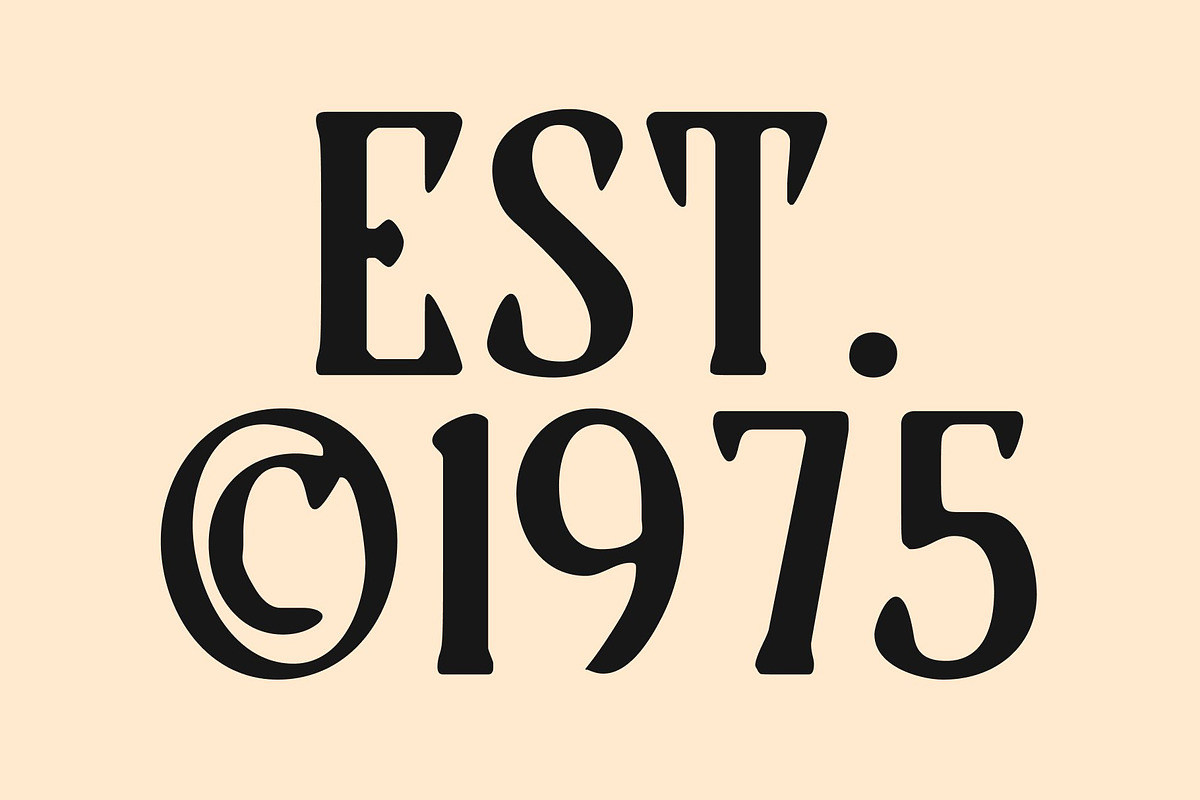 CS Georgia Drawn, a Serif Font by Craft Supply Co. (Photo 3 of 8)