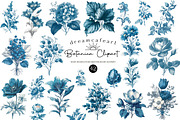 Vintage Botanica Clipart Set, an Illustration by DreamCafeArt (Thumbnail 1 of 6)