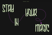 Euphoria Font Family by LARO Studio, a Font by larostudio (Thumbnail 6 of 8)