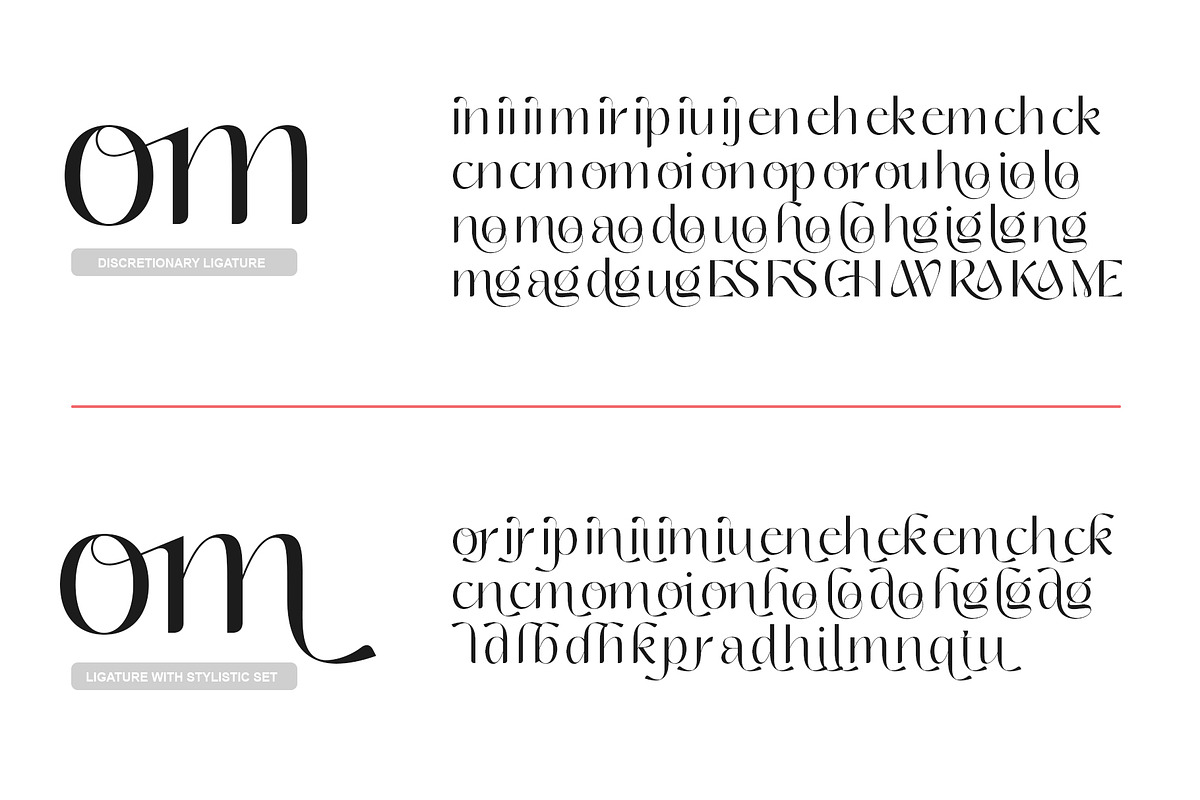 Chaviera Pro Family, a Sans Serif Font by INKSUN™ (Photo 11 of 12)