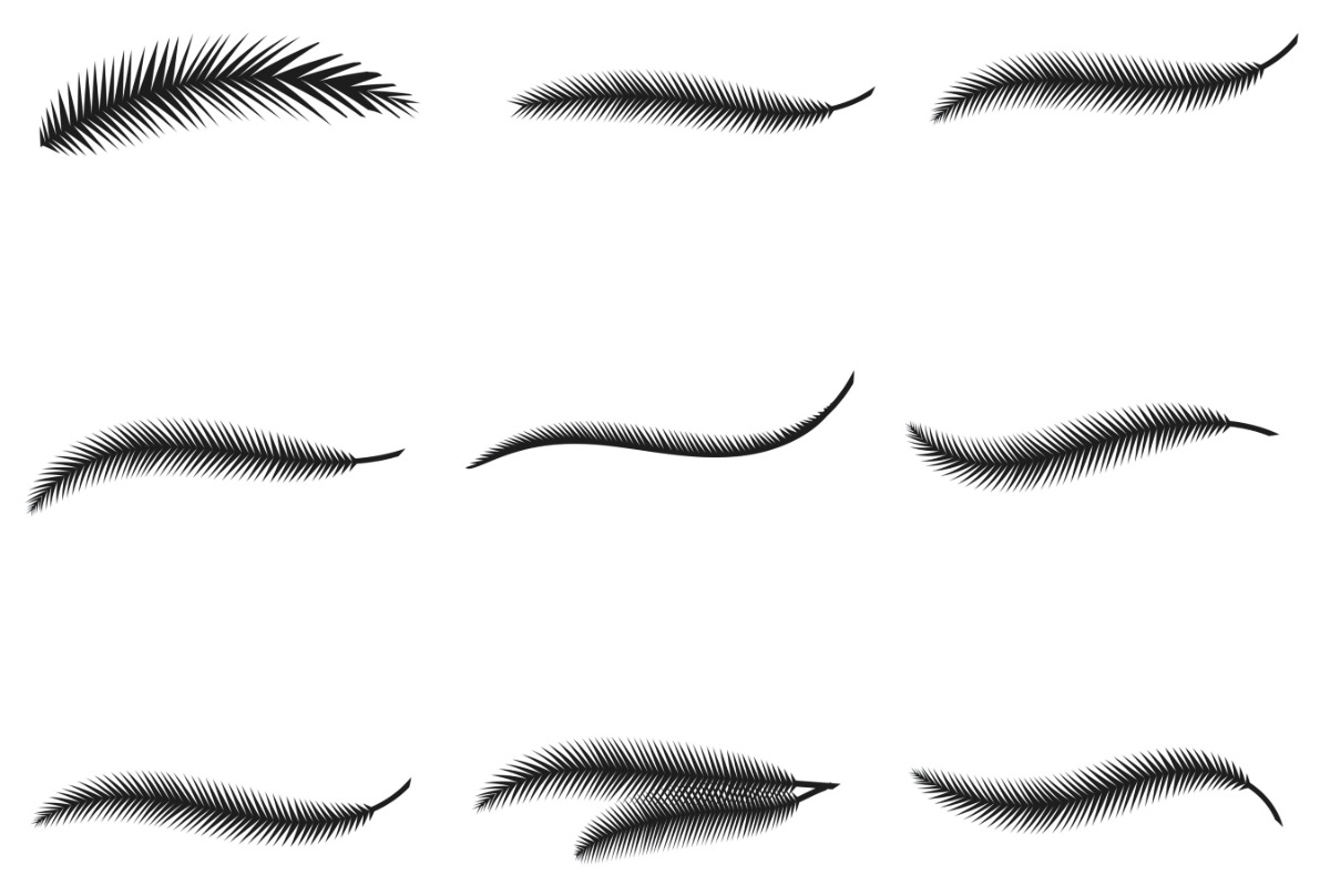 Tropical Palm Leaves Set 1 Procreate, a Brush Add-On by Disasterology Ink (Photo 9 of 10)