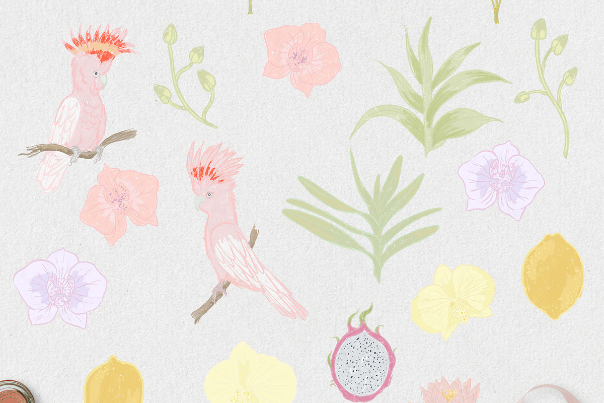Solana Tropical Whimsy Design Bundle, a Pattern Graphic by mila_leev (Photo 3 of 23)