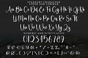 Absolute, a Handwritten Font by FreshTypeINK (Thumbnail 6 of 7)