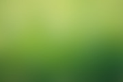 Nature Blurred Backgrounds, a Texture Graphic by Michal Chovanec (Thumbnail 4 of 10)