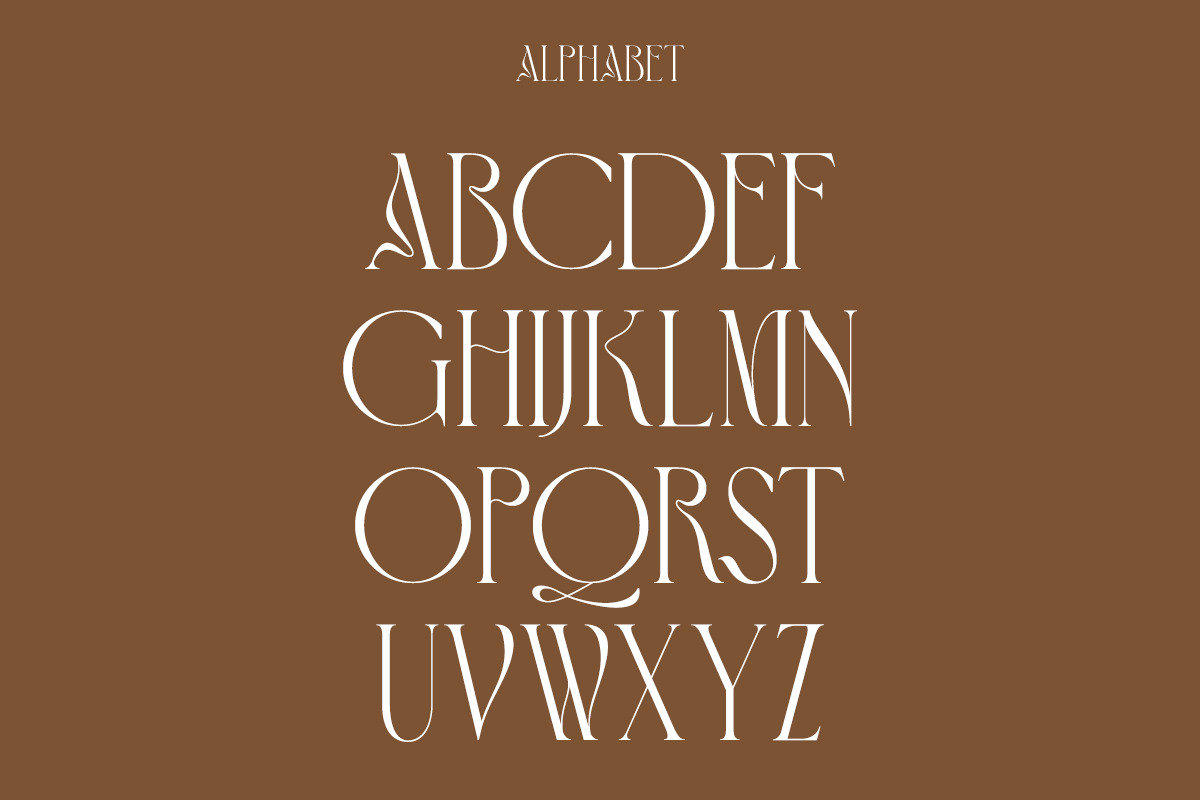 Brownish | Modern Stylish, a Serif Font by Muntab_Art (Photo 8 of 9)