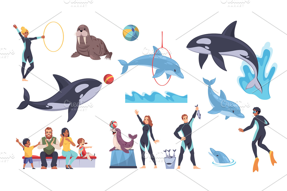 Dolphinarium elements. Funny marine, an Animal Illustration by YummyBuum
