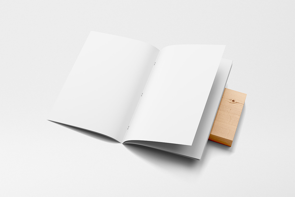 Magazine Mockup, a Books & Magazine Mockup by AlienValley (Photo 5 of 9)