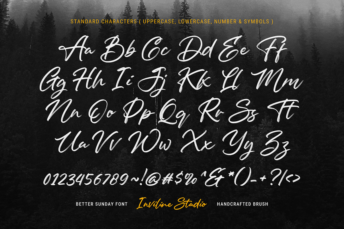 Better Sunday - Brush Script Font, a Script Font by Inviline.co (Photo 2 of 10)