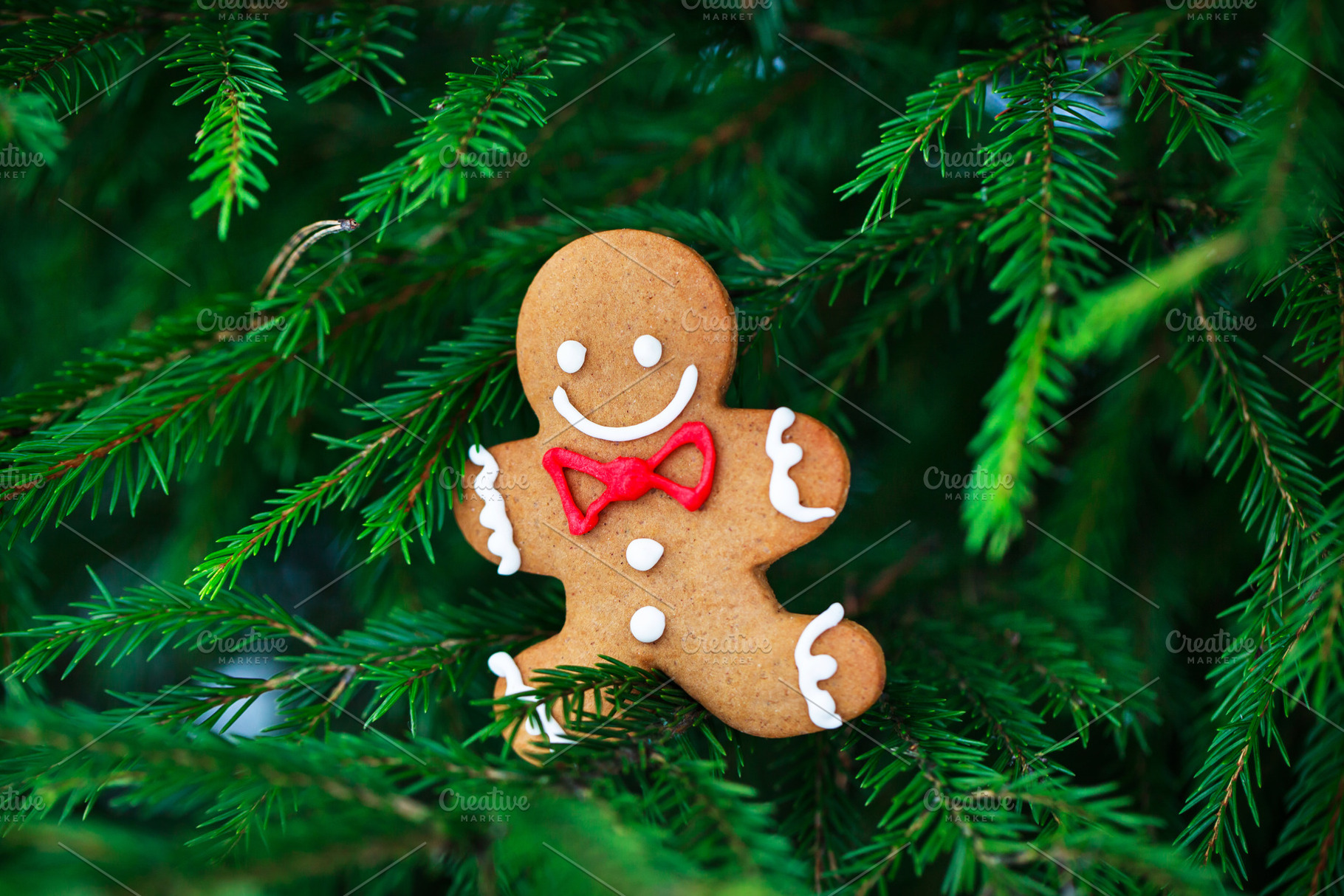 Cute Gingerbreadman Christmas cookie, a Holiday Photo by Kate S
