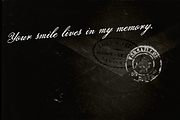 Pansy Bo, a Script Font by Dharma Type (Thumbnail 3 of 10)