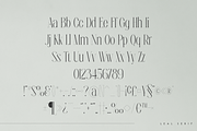 Leal typeface - regular & italic, a Serif Font by Only Fonts (Thumbnail 8 of 10)