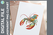 Marine Invertebrate Clipart, 25 PNG, an Animal Illustration by Enliven Designs (Thumbnail 6 of 8)