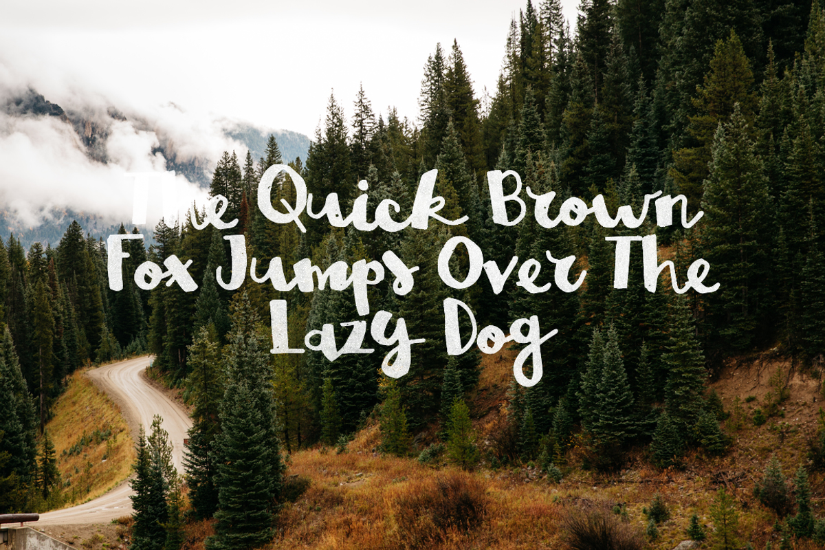 Brown Fox New Typecafe preview 4