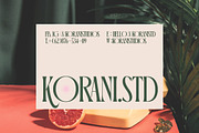 Orleans Brightens Modern Serif, a Serif Font by timelesstype.co (Thumbnail 2 of 15)