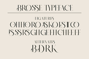 BROSSE Classy Ligature Serif