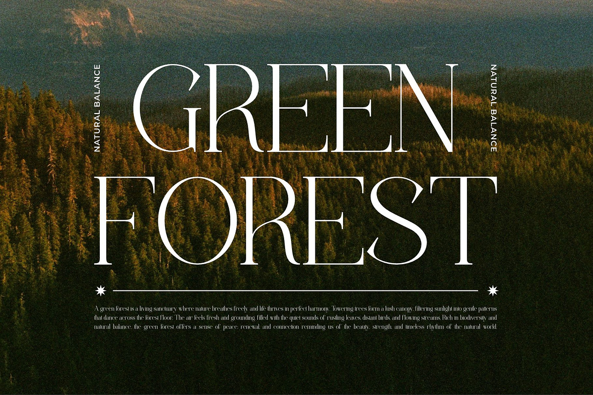 Rankim || Modern Classy Serif Font, a Serif Font by Ermedia Studio (Photo 9 of 10)