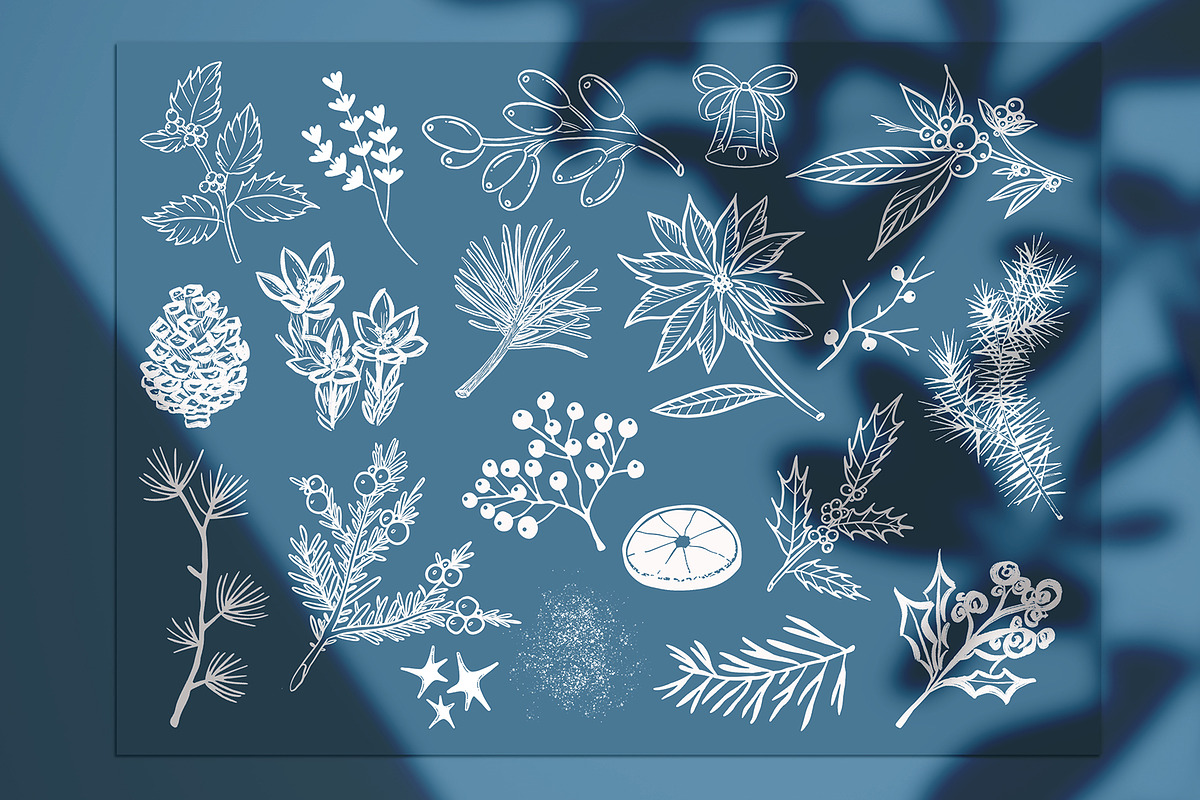 Winterflower brushes stamp Procreate, a Brush Add-On by MakeMyPlaceDesign (Photo 2 of 2)