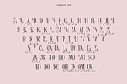 SS Lavonadeca - Flourish Serif Font, a Serif Font by Typocracy Studio (Thumbnail 13 of 15)