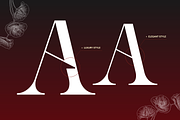Ronel Luxury - Modern Logo Font, a Serif Font by Illushvara Design (Thumbnail 4 of 14)