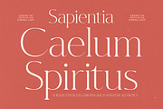 Hekgest Elegant Modern Serif, a Serif Font by timelesstype.co (Thumbnail 6 of 20)