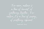 Distillery Script, a Script Font by Beck McCormick (Thumbnail 2 of 11)