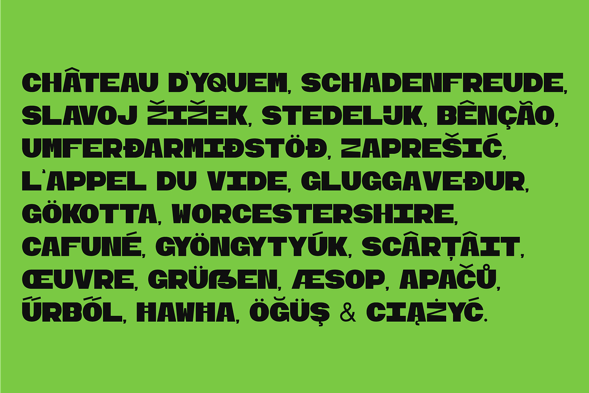 Ogre Mono Grotesk Display, a Font by leme.store (Photo 9 of 10)