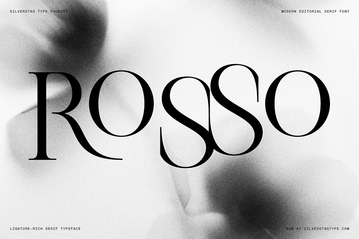 The Elfkin Editorial - Modern Serif, a Serif Font by SilverStag Type Foundry (Photo 7 of 20)