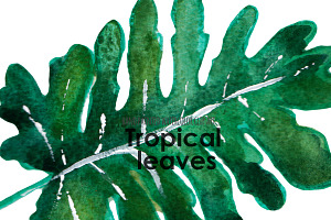 Palm Leaf Tropical Clip Art