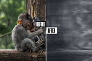 Grunge Motion Photo Effect, a Layer Style Add-On by iDoodle Studio (Thumbnail 2 of 4)