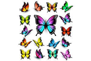 Colorful Butterflies Set. Vector.