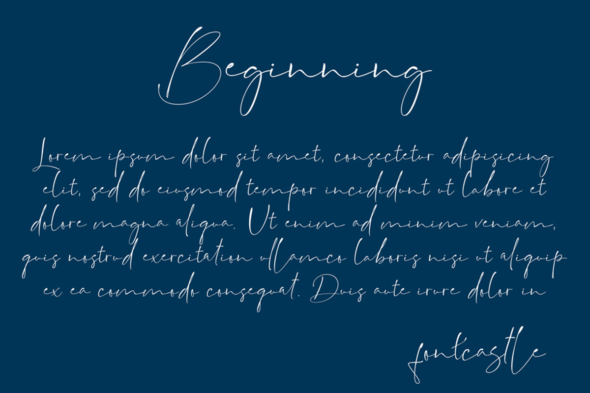 Backwash - Casual Script Font, a Script Font by Fontcastle (Photo 2 of 9)