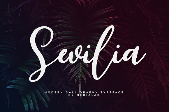 Sevilia Script preview 7