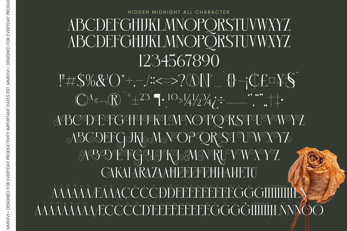 Hidden Midnight Modern Elegant Serif, a Serif Font by timelesstype.co (Photo 10 of 10)