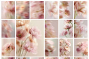 Blurry Floral Backgrounds, a Background Graphic by Altea Design Studio (Thumbnail 14 of 14)