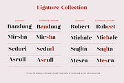 Nergisha, a Serif Font by Sealoung (Thumbnail 10 of 15)