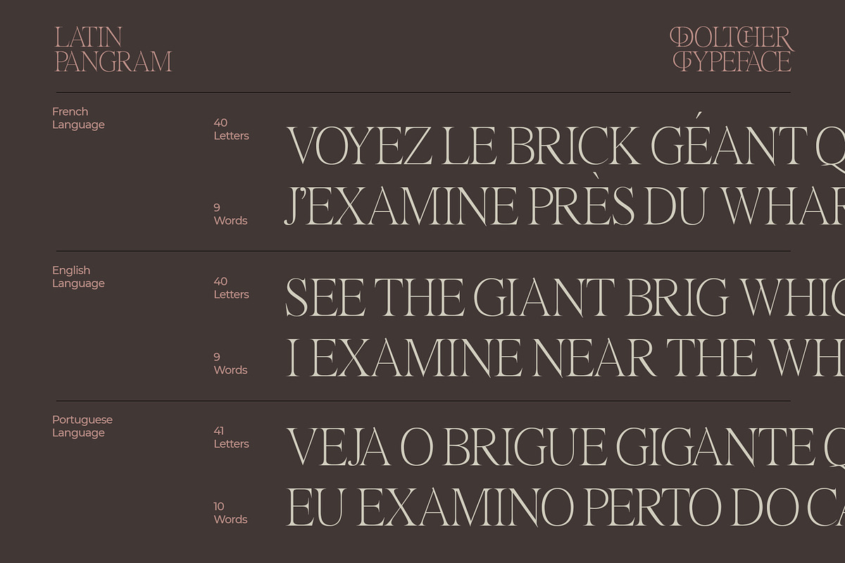 Doltcher Display Serif Typeface, a Serif Font by Designsation (Photo 7 of 10)