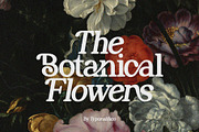 Perfect Mangue | Serif Duo Font, a Serif Font by Typoraith Co (Thumbnail 3 of 10)
