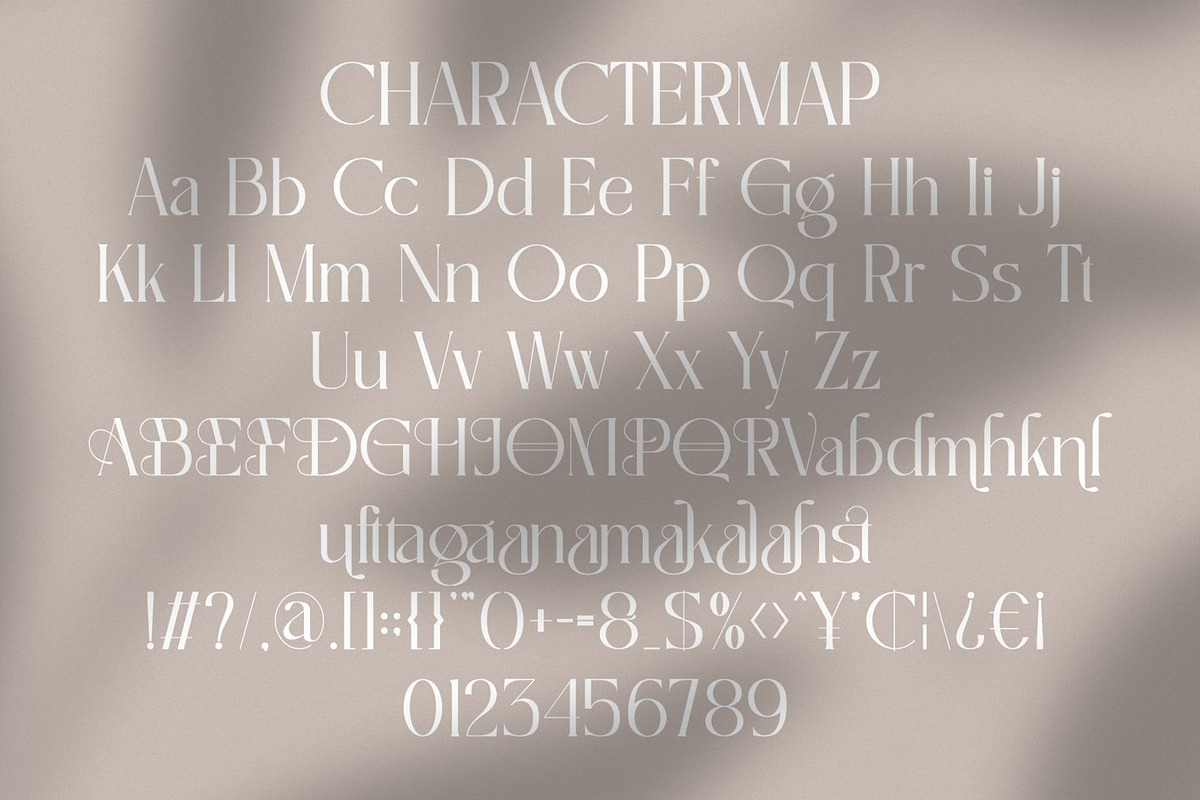 Qalisten | Modern Elegant Serif Font, a Serif Font by Ermedia Studio (Photo 10 of 10)