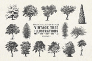 Vintage Tree Vector Bundle Vol. 3, an Object Illustration by Seaquint (Thumbnail 1 of 5)
