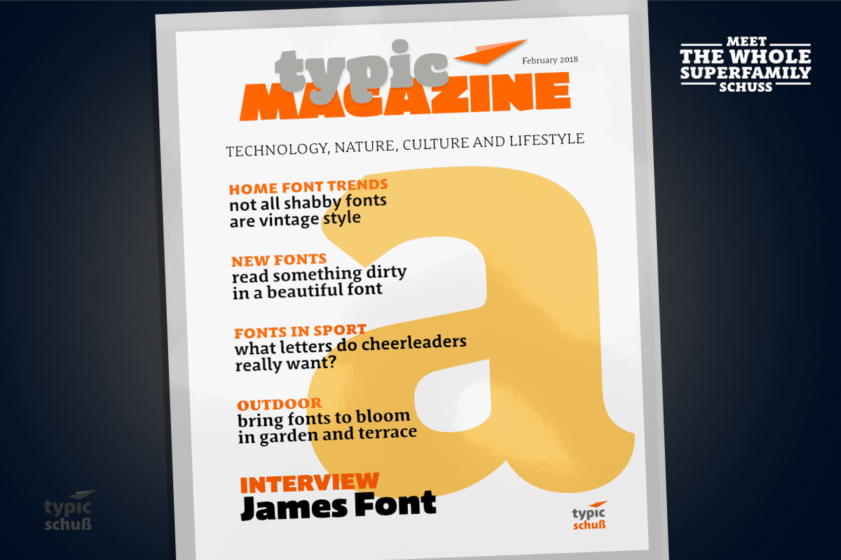 Schuss Sans CG Poster Black, a Sans Serif Font by typic schuss (Photo 15 of 15)