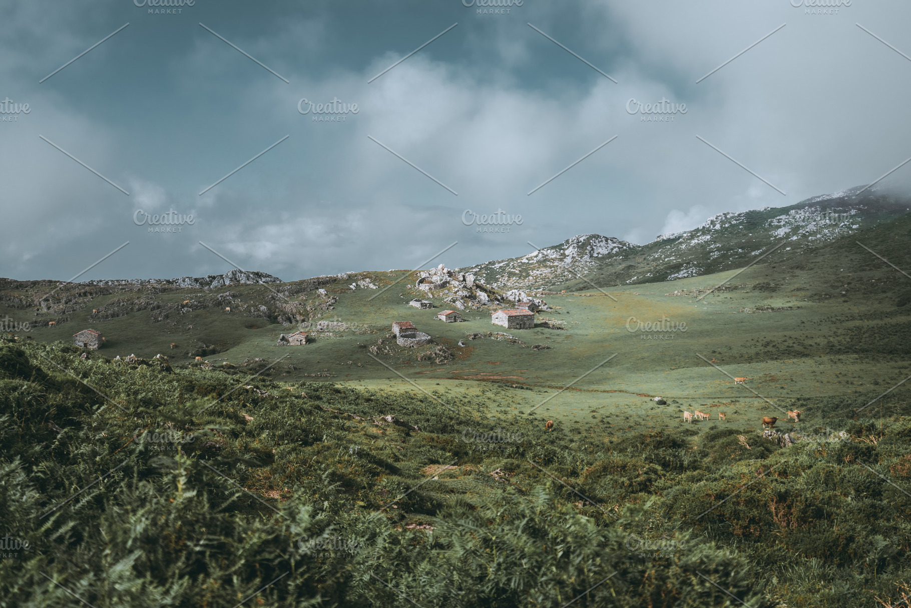 Mountain valley with cottages, an Architecture Photo by SkyNext
