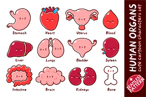 Cute human organs set