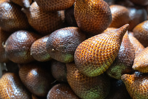 Snake fruits at Bolu market in Rantepao, Toraja, Sulawesi, Indon, a Food & Drink Photo by GoodGoods